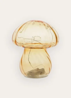 CHAMPIGNON LUMINEUXAMBRE