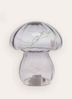 CHAMPIGNON LUMINEUXGRIS