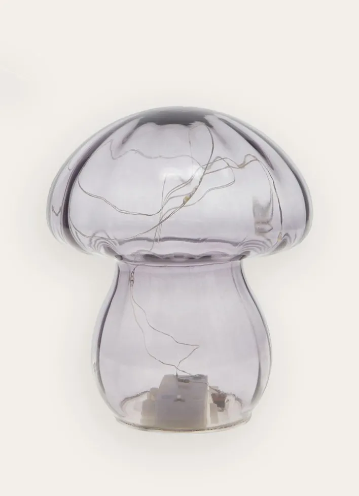 CHAMPIGNON LUMINEUXGRIS