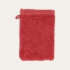 GANT DE TOILETTE BRODÉ EN COTON 500GR EPICE