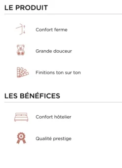 LOT DE 2 OREILLERS CARRÉS CONFORT HÔTELIER BLANC