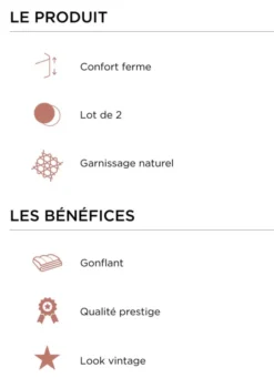 LOT DE 2 OREILLERS CARRÉS EN PLUMETTES BLANC