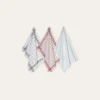 LOT DE 3 TORCHONS EN COTON MULTICOLORE