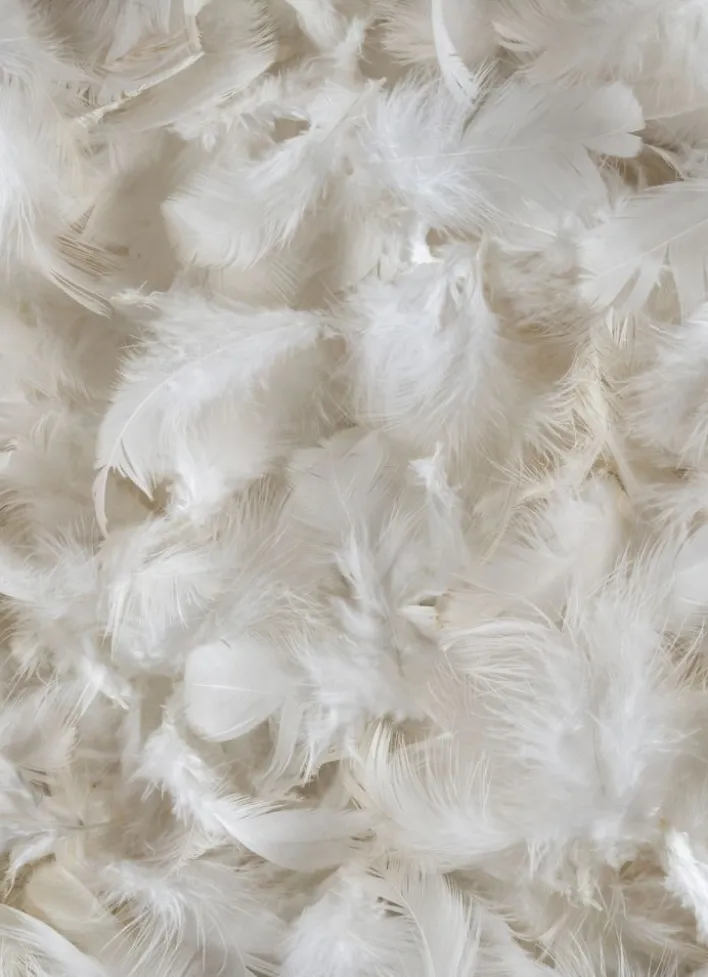 OREILLER CARRÉ NATUREL FERME ANTI-ACARIENS BLANC
