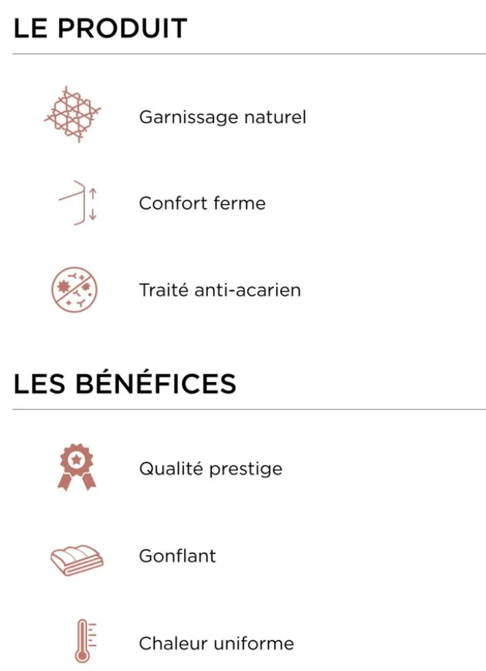 OREILLER RECTANGULAIRE NATUREL FERME ANTI-ACARIENS BLANC
