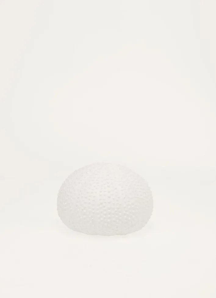 OURSIN DÉCORATIF BLANC