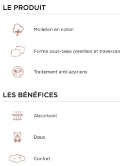 SOUS-TAIE DE TRAVERSIN EN COTON 220GR BLANC